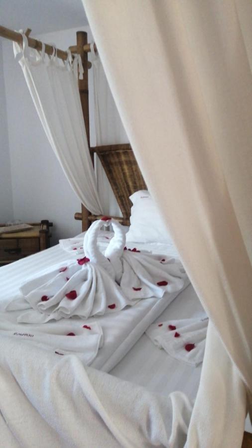 Pensiunea Rosenau Rîşnov Dış mekan fotoğraf